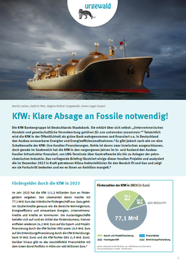 KfW-Briefing: Titelseite