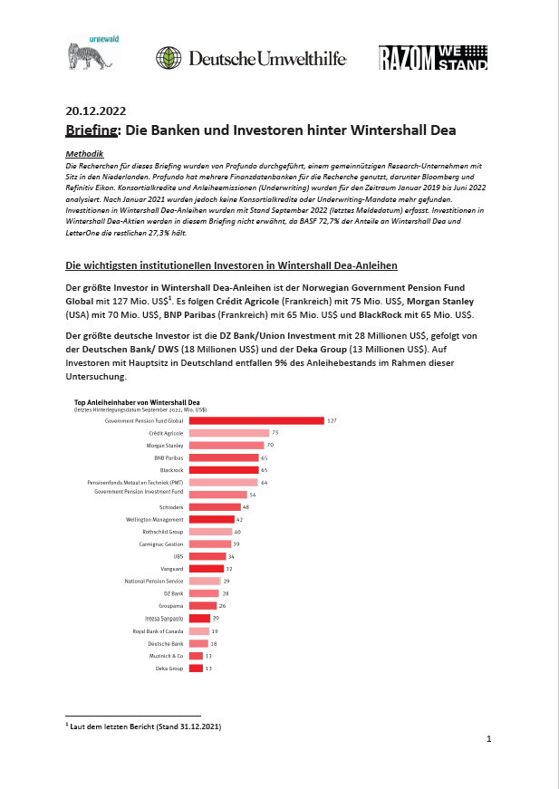 Cover Wintershall Dea Briefing DE