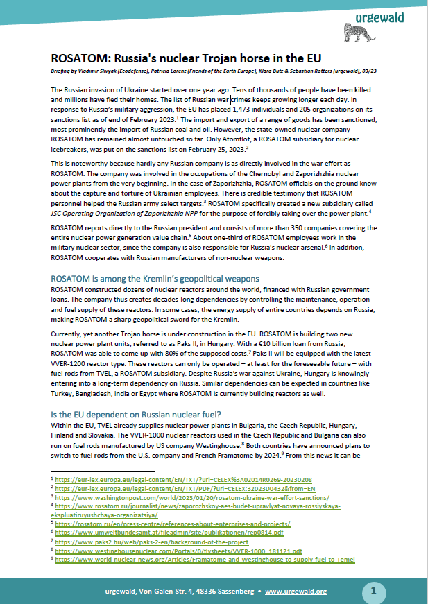 First Page Rosatom Briefing