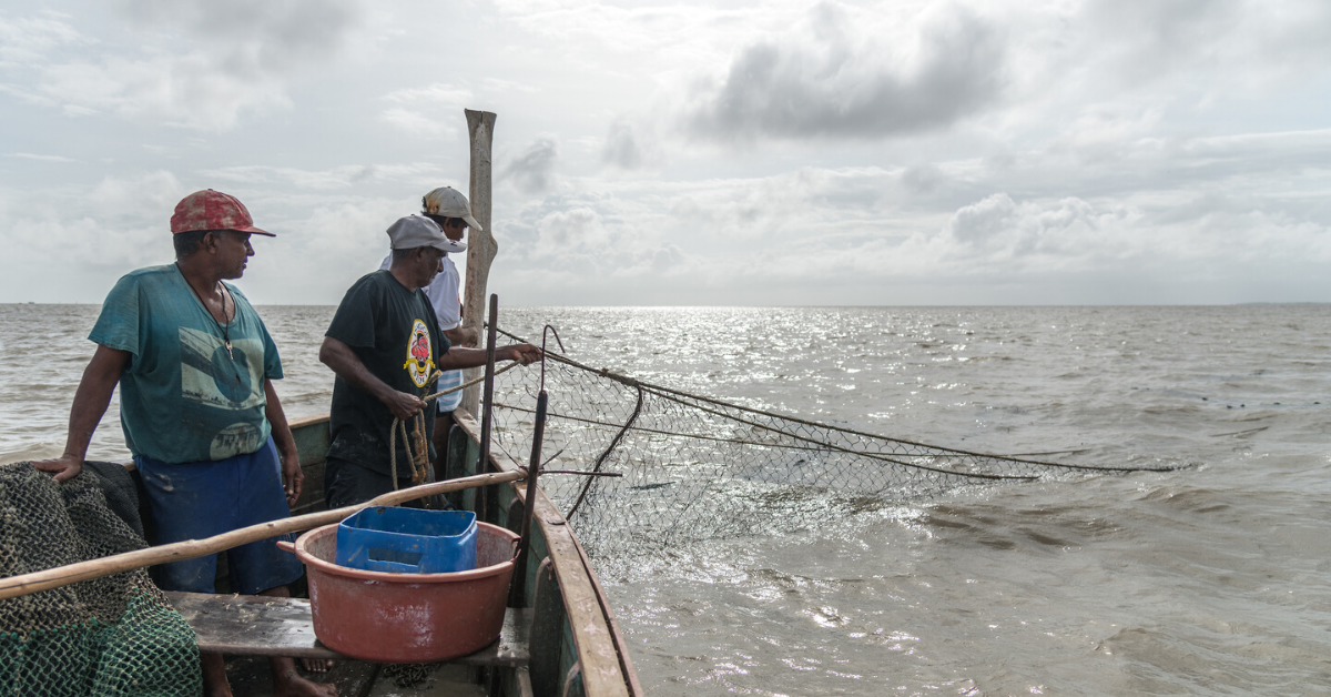 Drei Fischer kontrollieren ihre Netze 