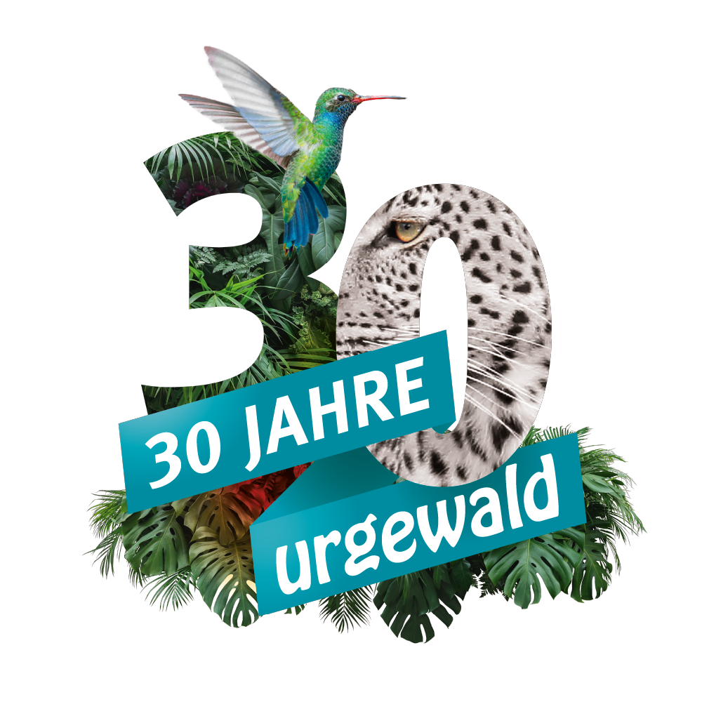 30 Jahre urgewald Logo mit Leopard und Kolibri