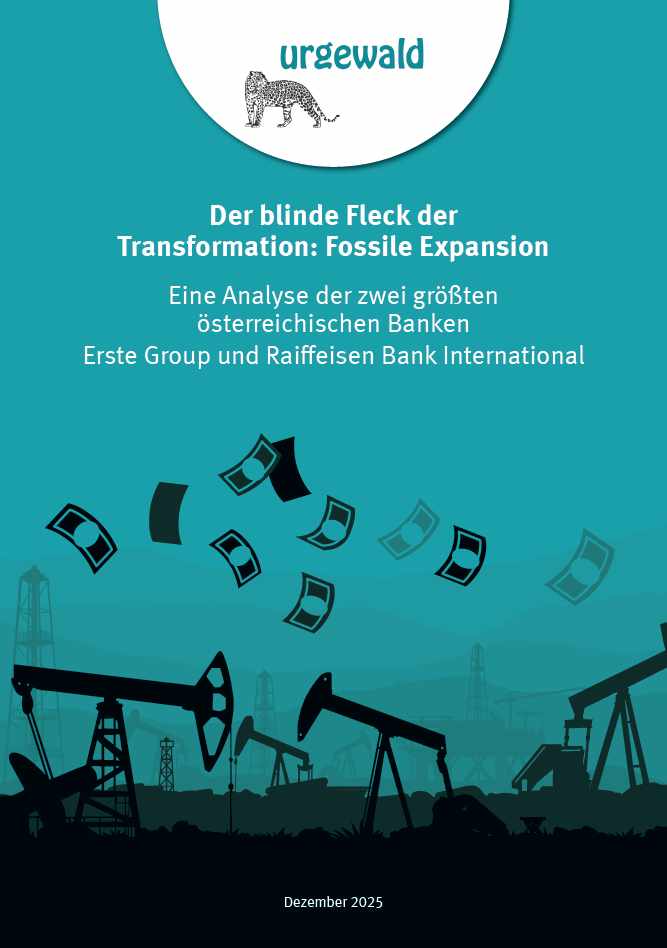 Analyse Erste Bank & Raiffeisen