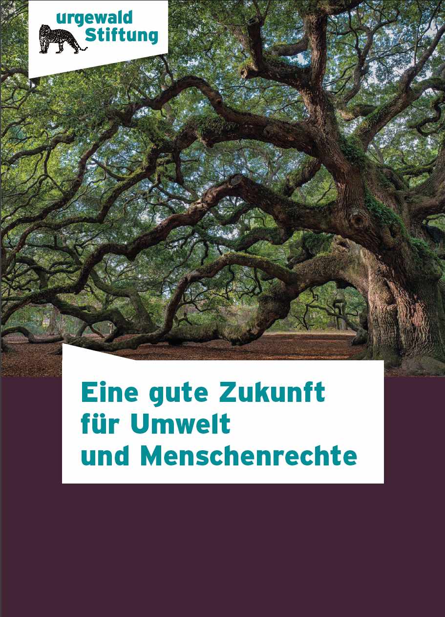 Titel Stiftungsbroschuere