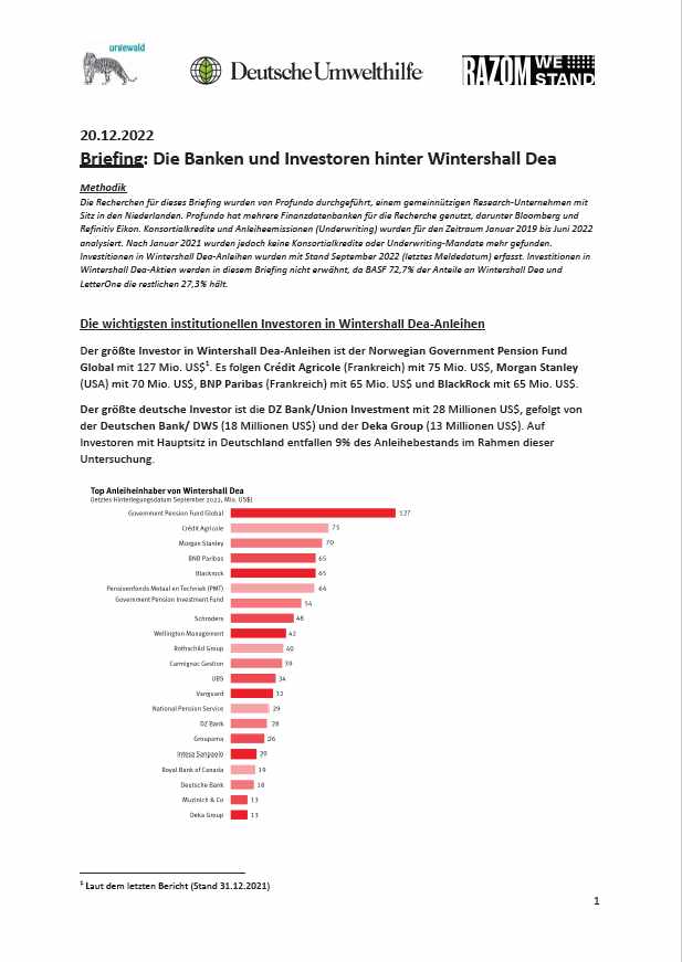 Cover Wintershall Dea Briefing DE