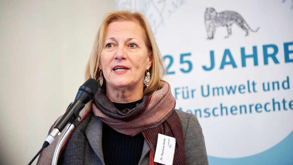 urgewald-Expertin Dr. Korinna Horta auf einer Tagung zur Bank AIIB