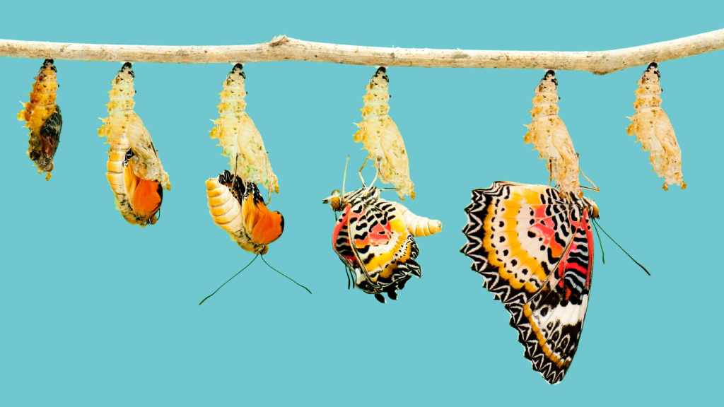 Banken in Transformation Symbolbild