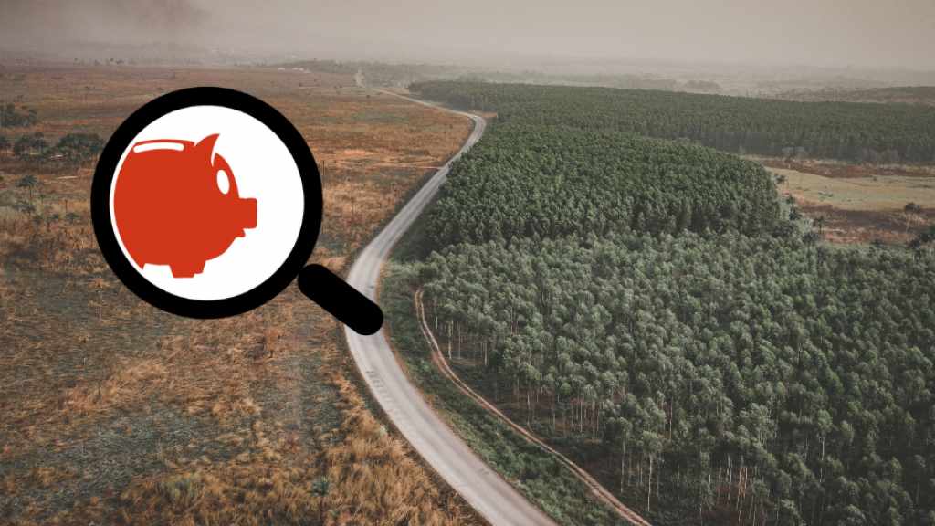 Faire Fonds-Logo (Sparschwein unter Lupe) und Foto: Straße teilt Wald von abgeholztem Gebiet