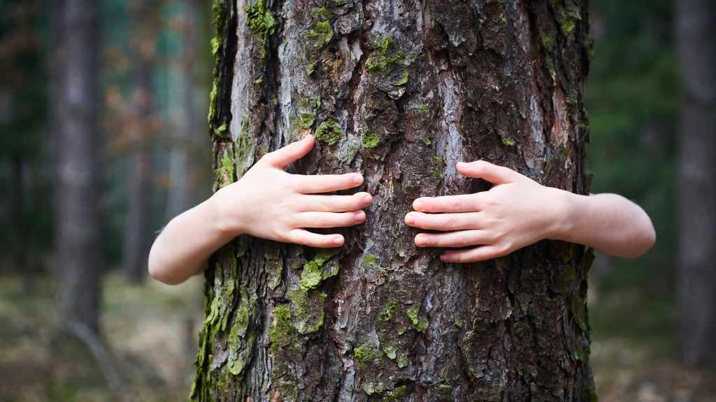 Kind umarmt Baum von hinten