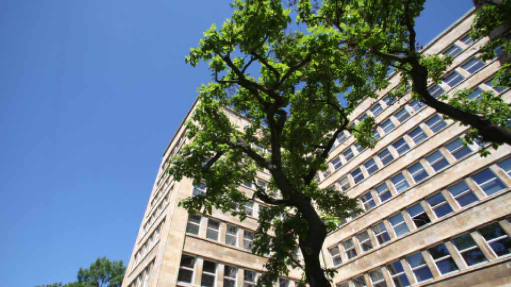 Goethe-Universität Frankfurt