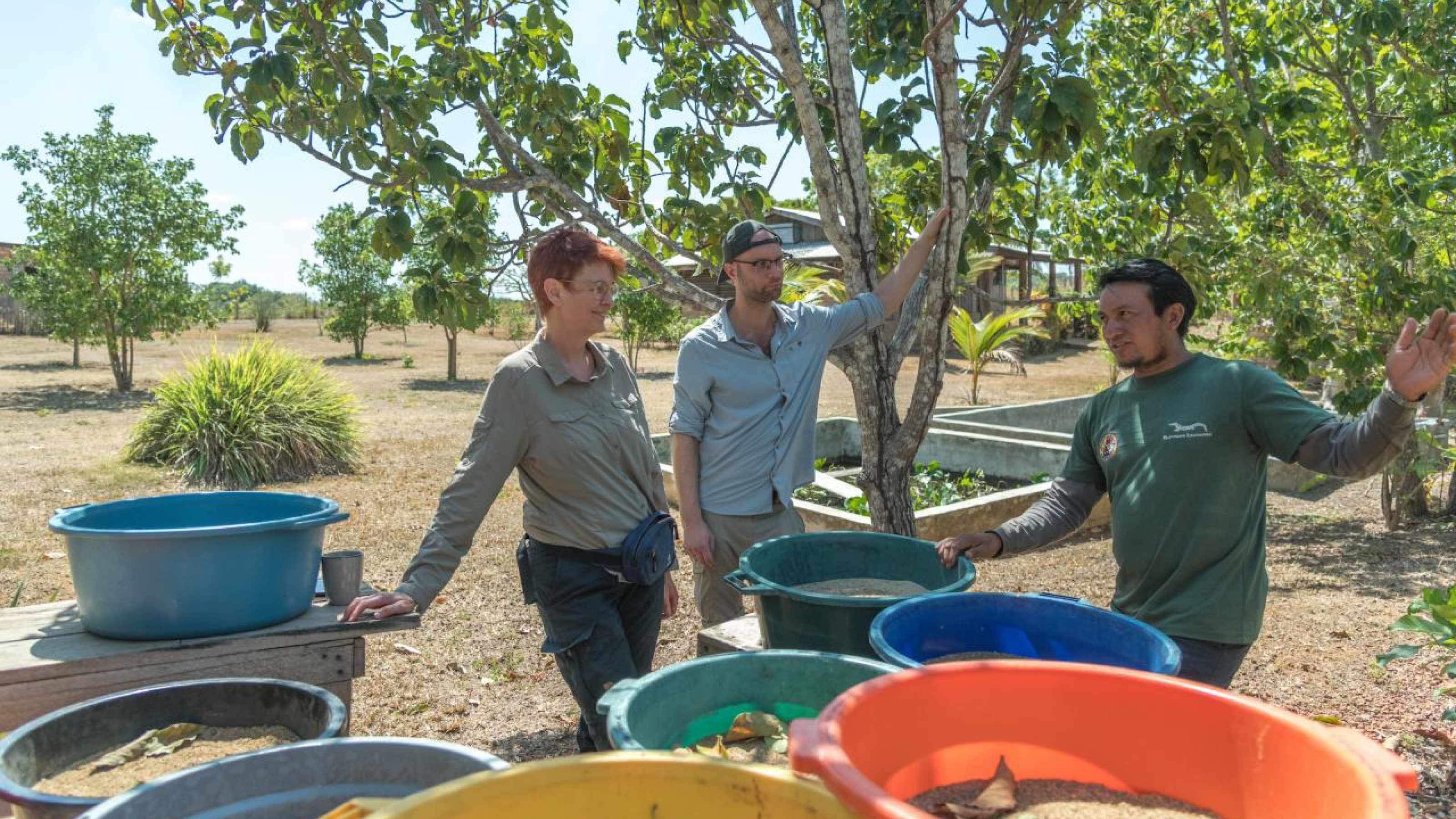 Marcellus Thomas erklärt das Schildkrötenprojekt