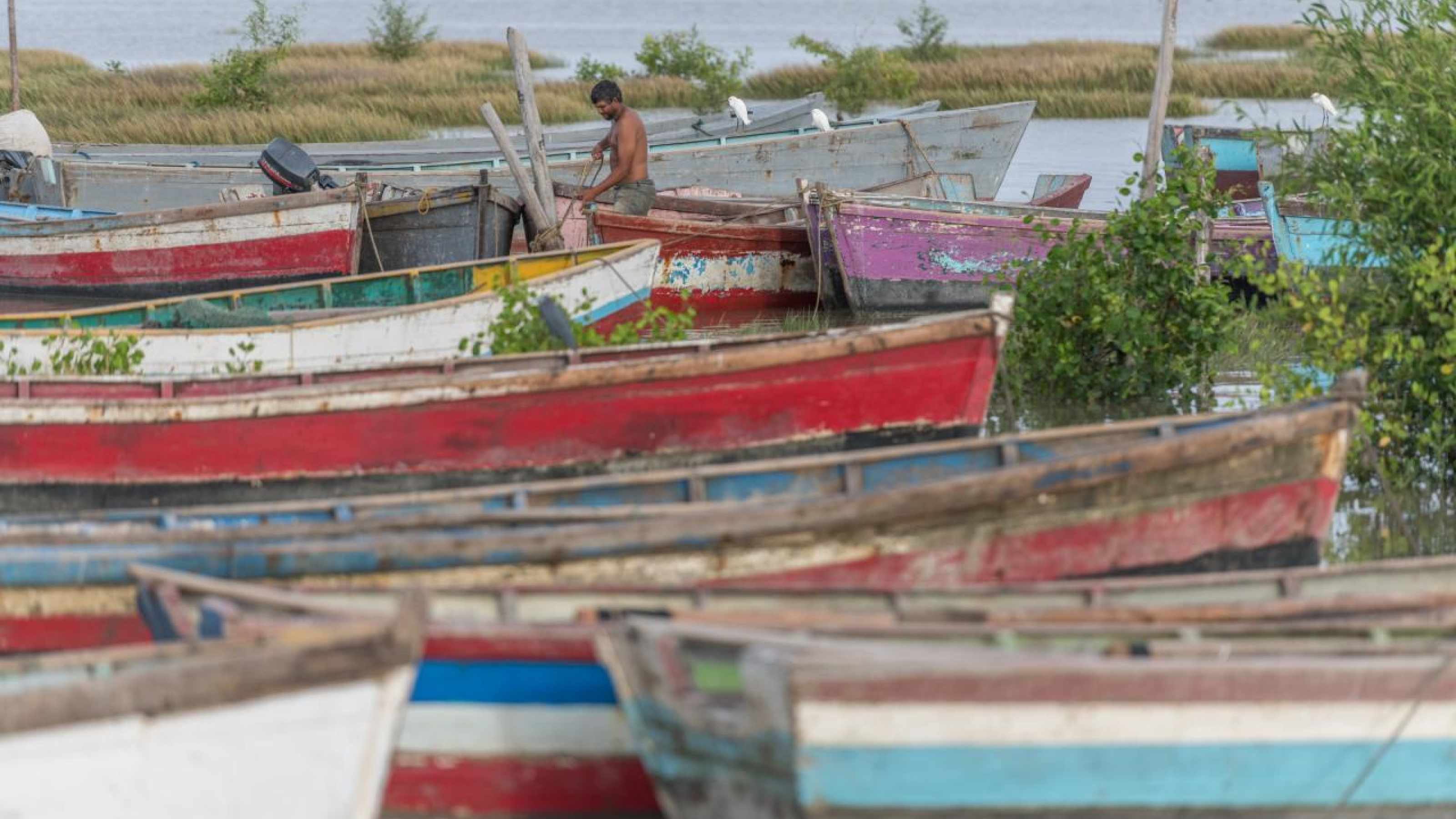 Boats