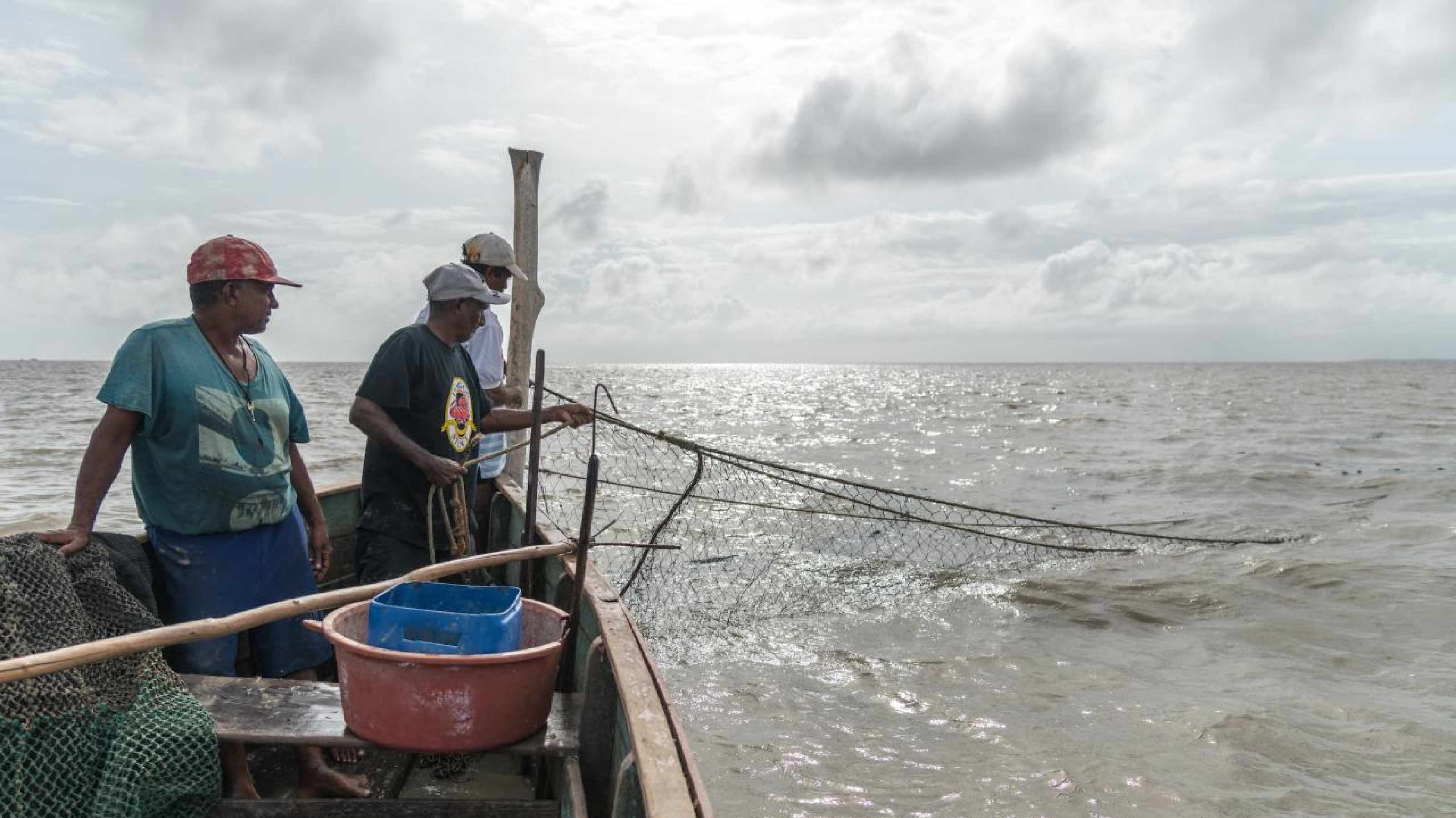 Fishermen checking nets