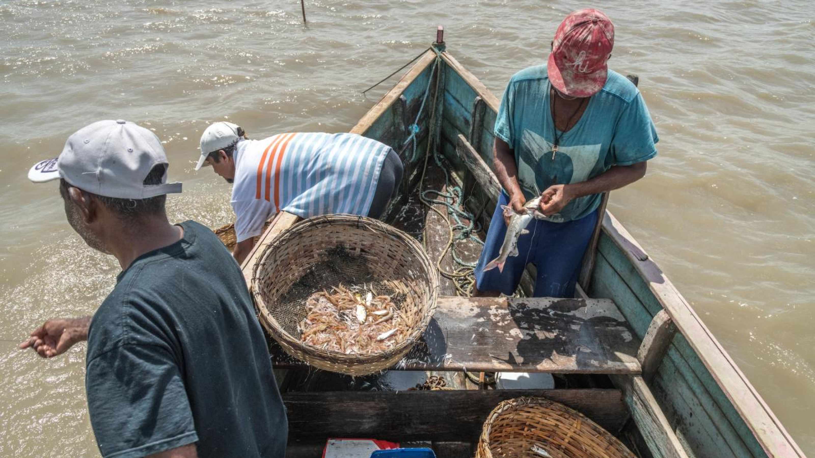 Fishermen catching shrimps and fish