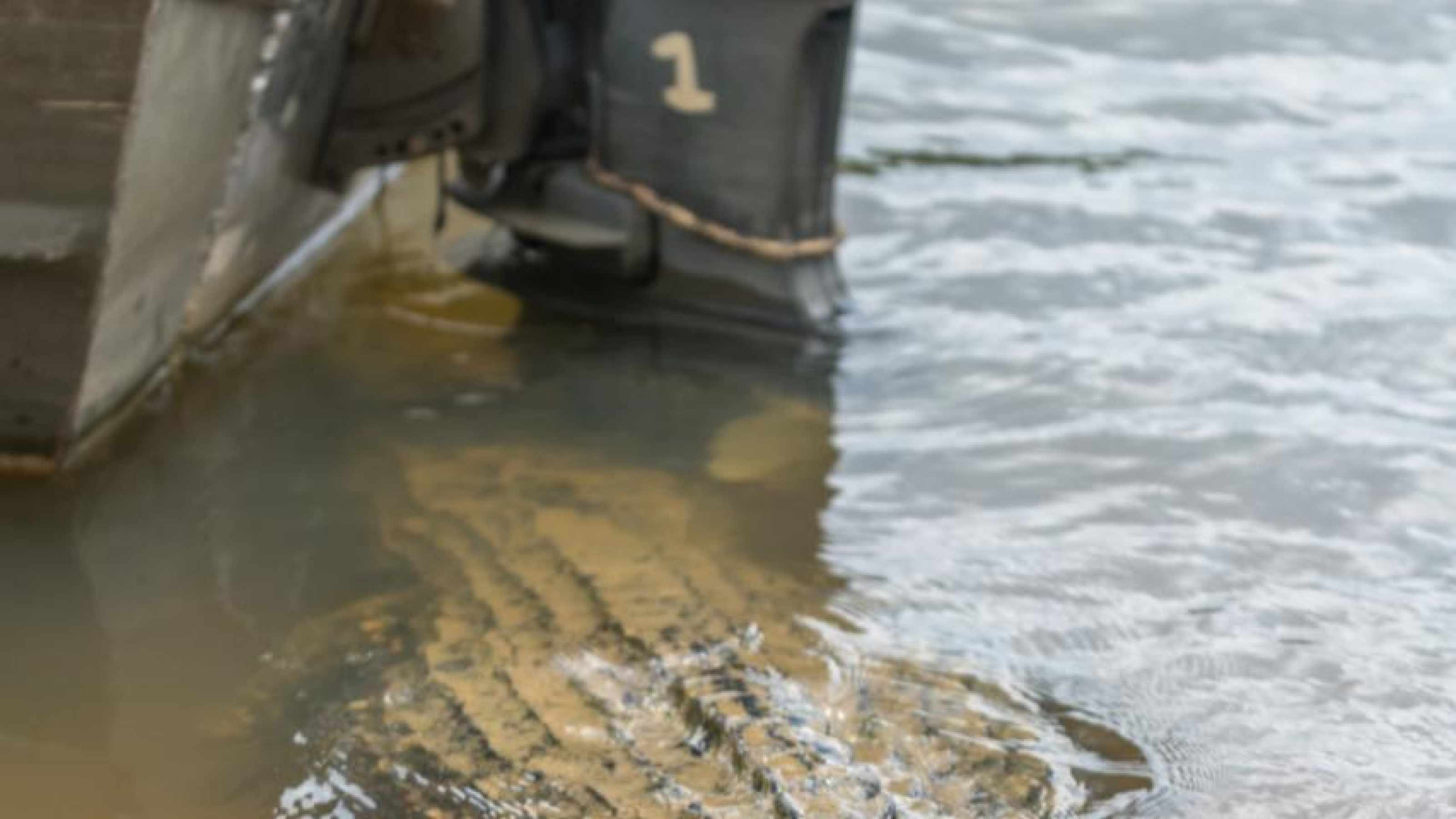 Dem "Maskottchen" der Iwokrama-Lodge, Shankar, fehlt ein Fuß.