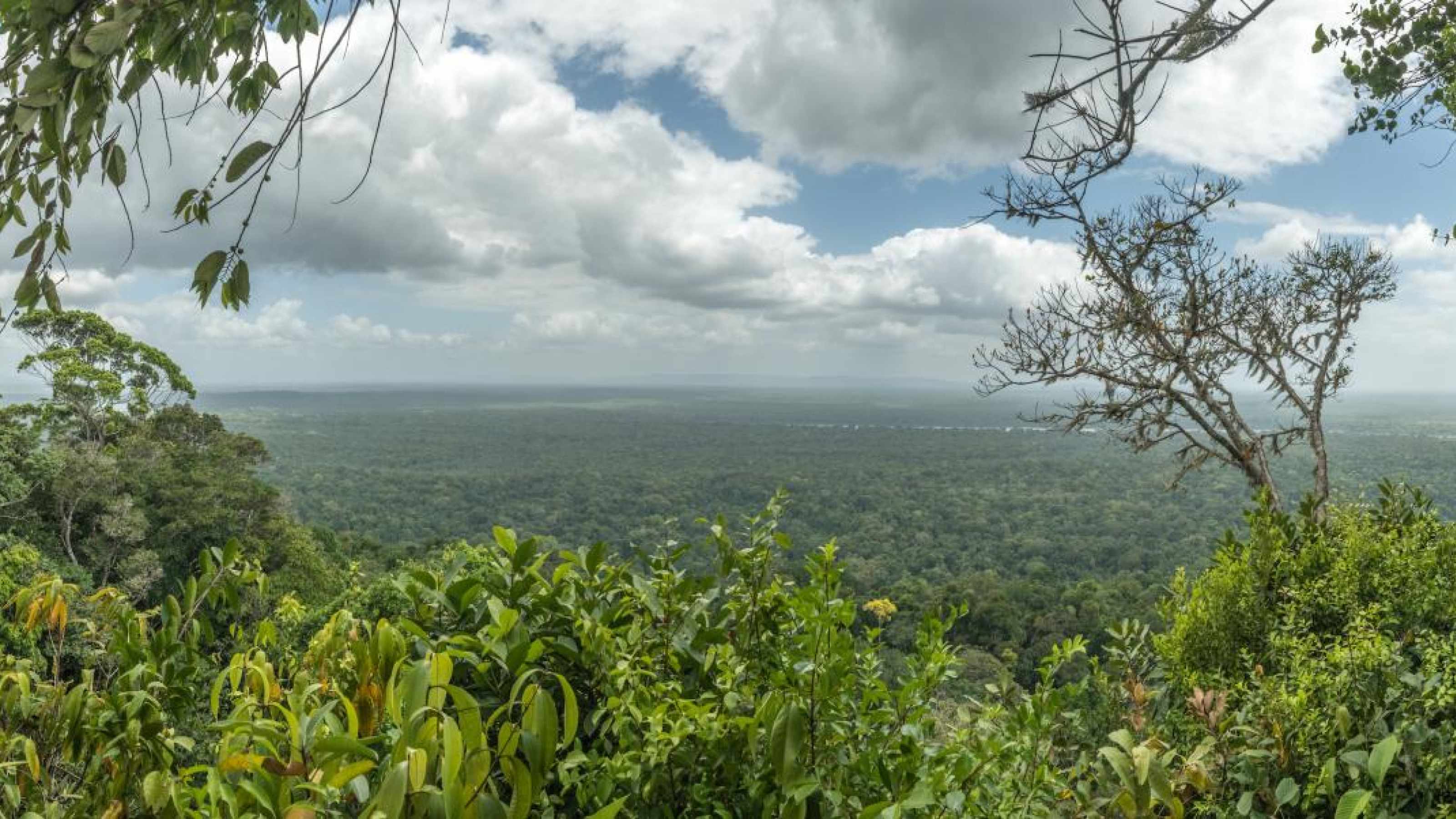 View from the top of Turtle Mountain