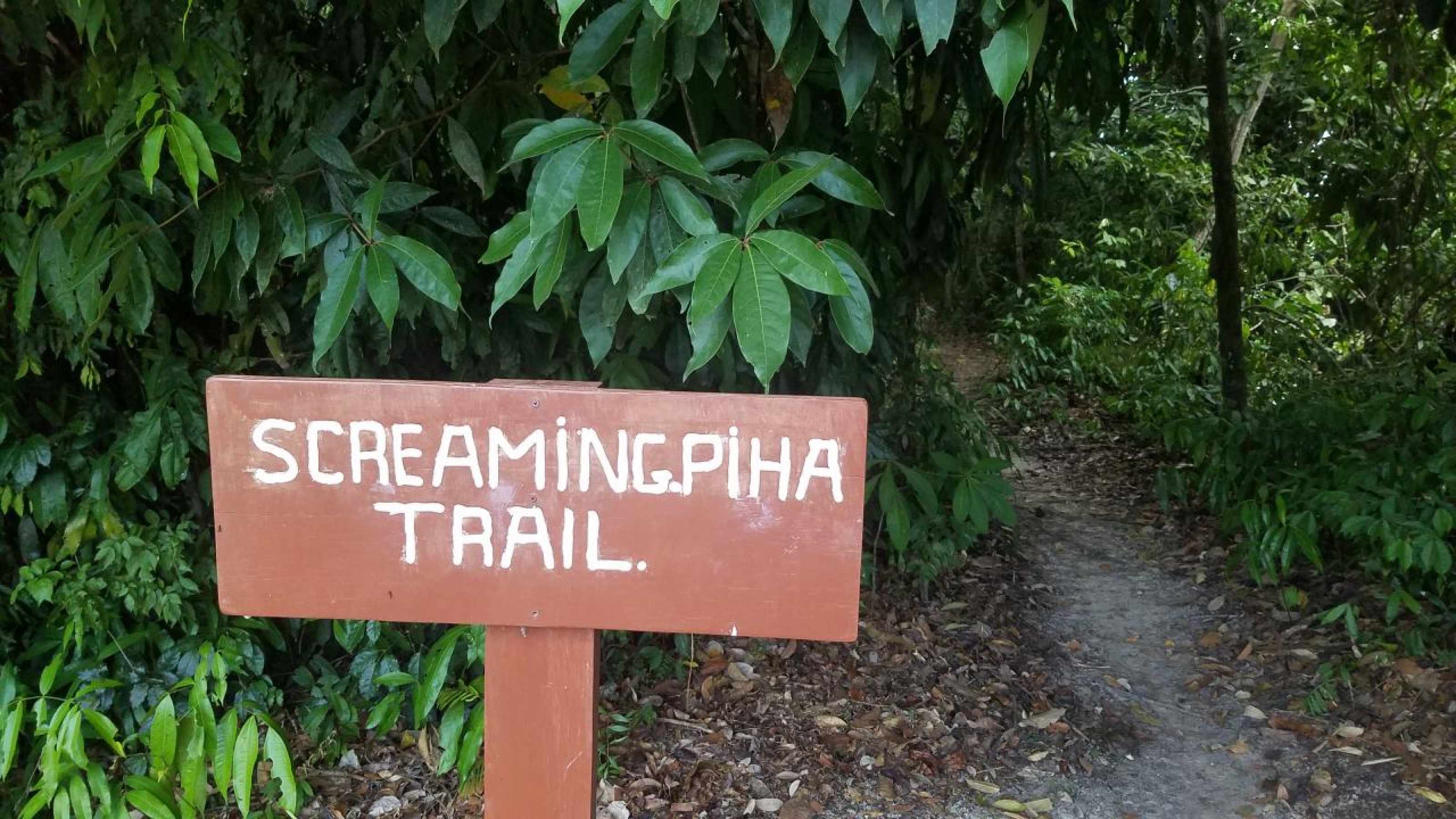 trail sign