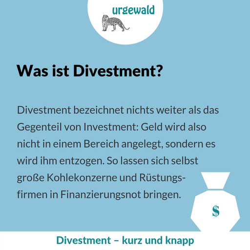 Was ist Divestment?