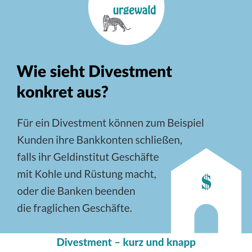 Wie sieht Divestment konkret aus?