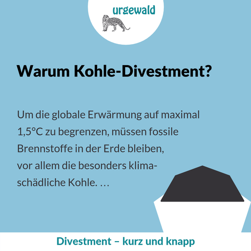 Warum Kohle-Divestment?