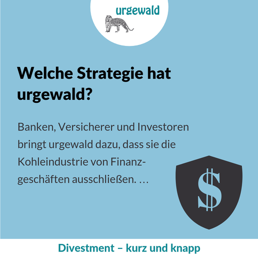 Welche Strategie hat urgewald?