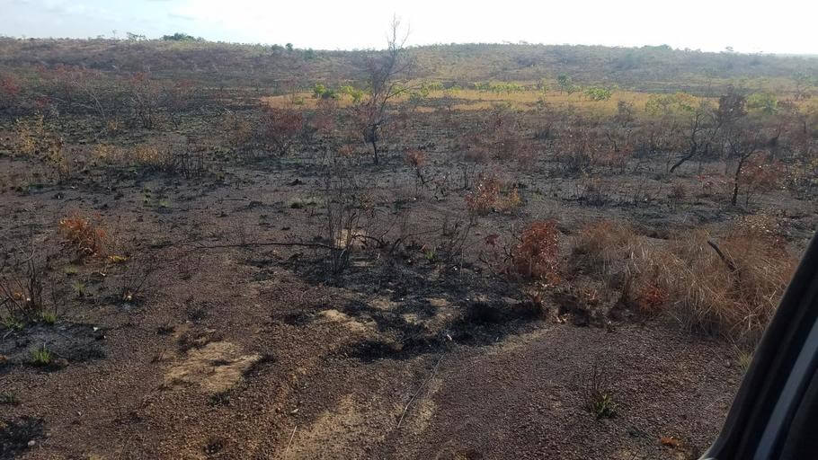 Again and again, we see large burnt areas. The fires are often laid by farmers and hunters.