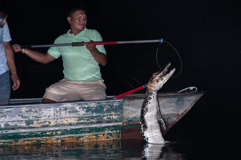 A man catches a caiman