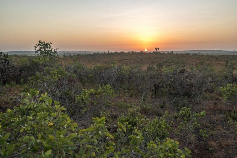 Sonnenaufgang in der Savanne