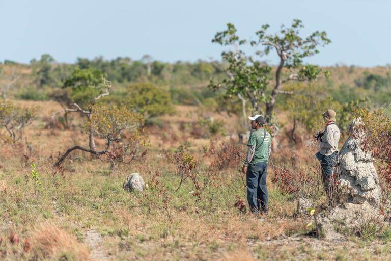 Together with our savannah guide, I look for snakes amongst the termite hills.