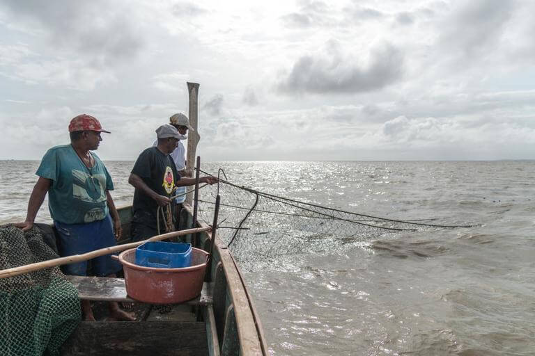 Fishermen checking nets
