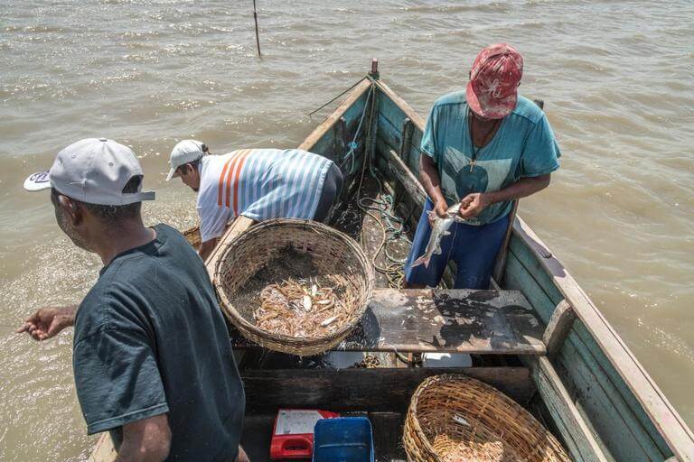 Fischer fangen Shrimps und Fisch