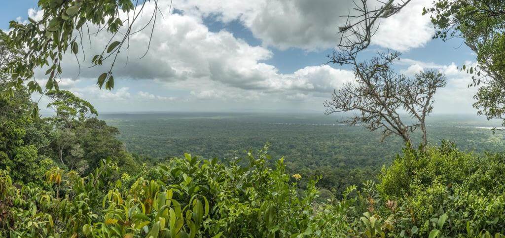 View from the top of Turtle Mountain