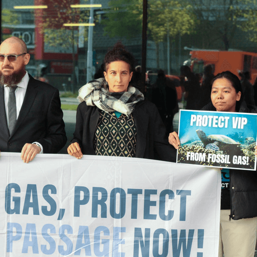 Three People with Banners and Posters: ProtectVIP