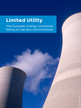 Limited Utility Report Cover