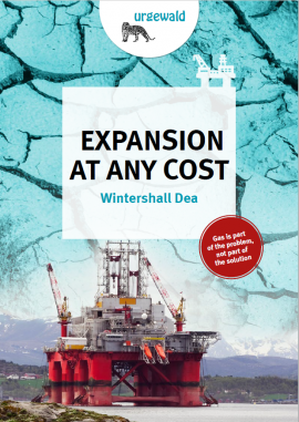 Cover Wintershall Dea Briefing