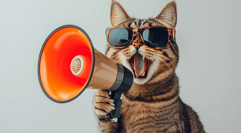 Katze mit Megafon