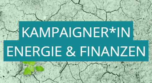 Kampaigner*in Energie & Finanzen